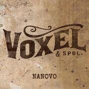 Voxel-Nanovo