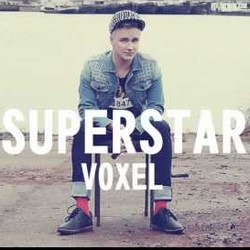 Voxel-Superstar