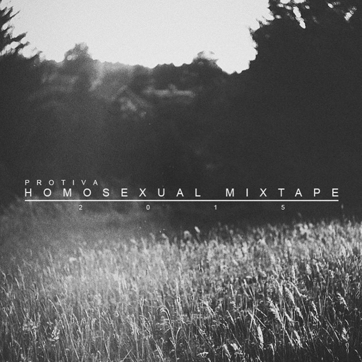 Homosexual mixtape