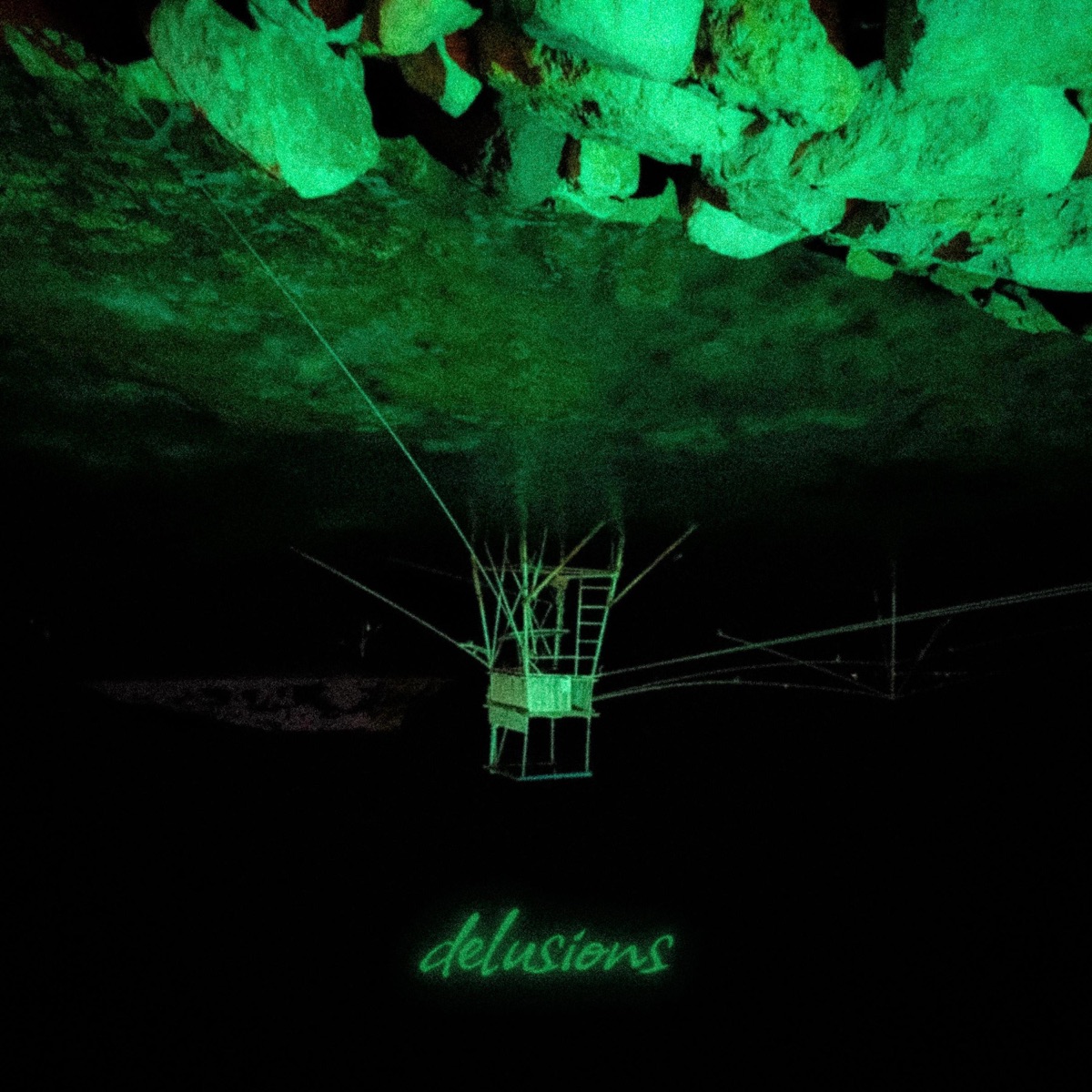 Delusions (feat. Wilted Tonearm)