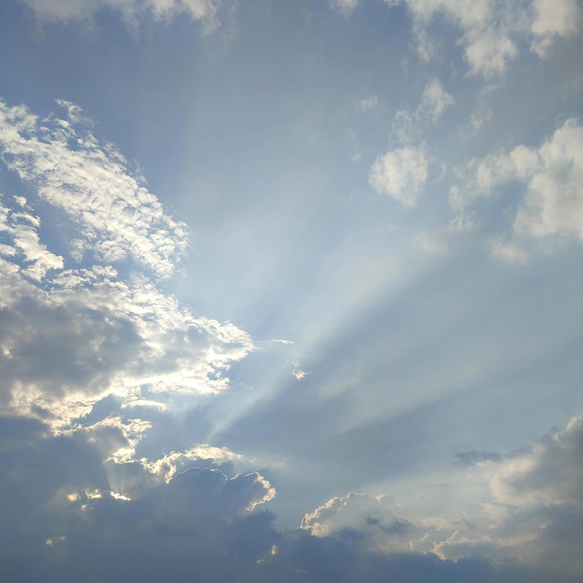 Moment2 (special version)