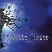 Cocotte Minute-Czeko