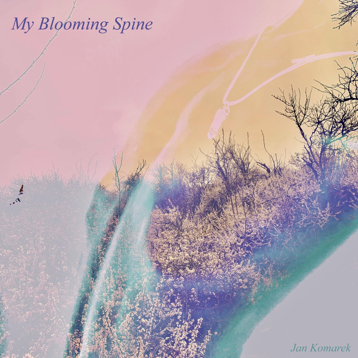 My blooming spine