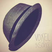 Voxel-5. song