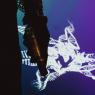 Tumor (feat. Šumátor & Ay$kr)