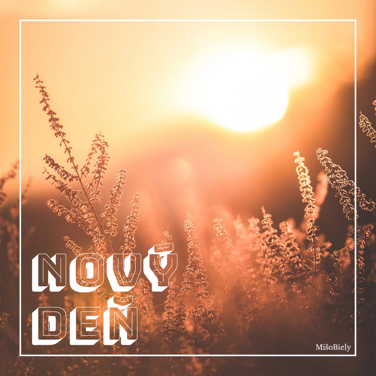 Nov� de�